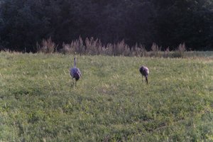 DSCF5420.JPG