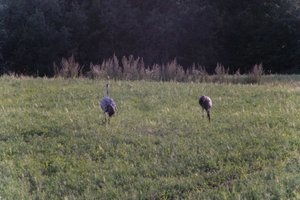 DSCF5421.JPG