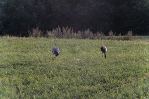 DSCF5422.JPG