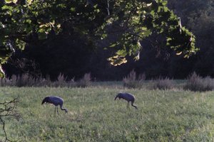 DSCF5427.JPG