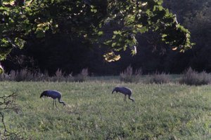 DSCF5428.JPG