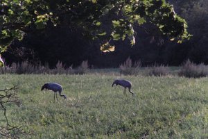 DSCF5429.JPG