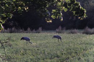 DSCF5430.JPG