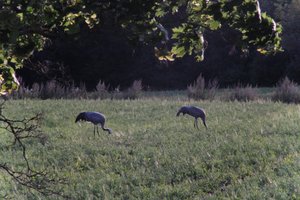 DSCF5431.JPG