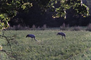 DSCF5432.JPG