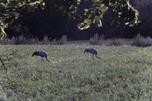 DSCF5444.JPG