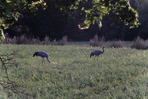 DSCF5448.JPG