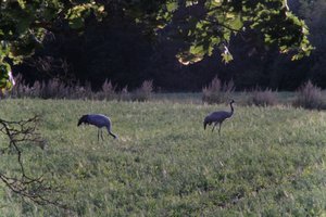 DSCF5449.JPG