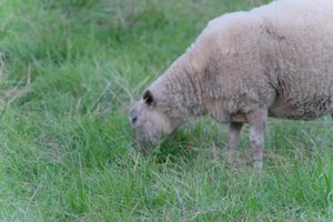 DSCF5453.JPG