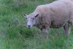 DSCF5472.JPG