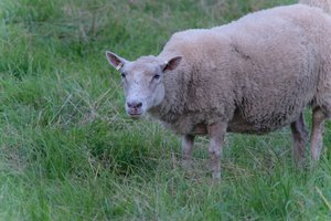 DSCF5473.JPG