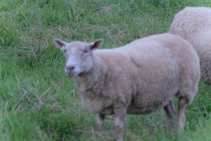 DSCF5483.JPG