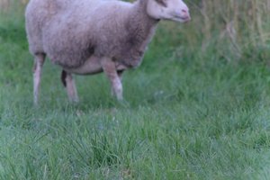 DSCF5498.JPG