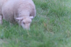 DSCF5524.JPG